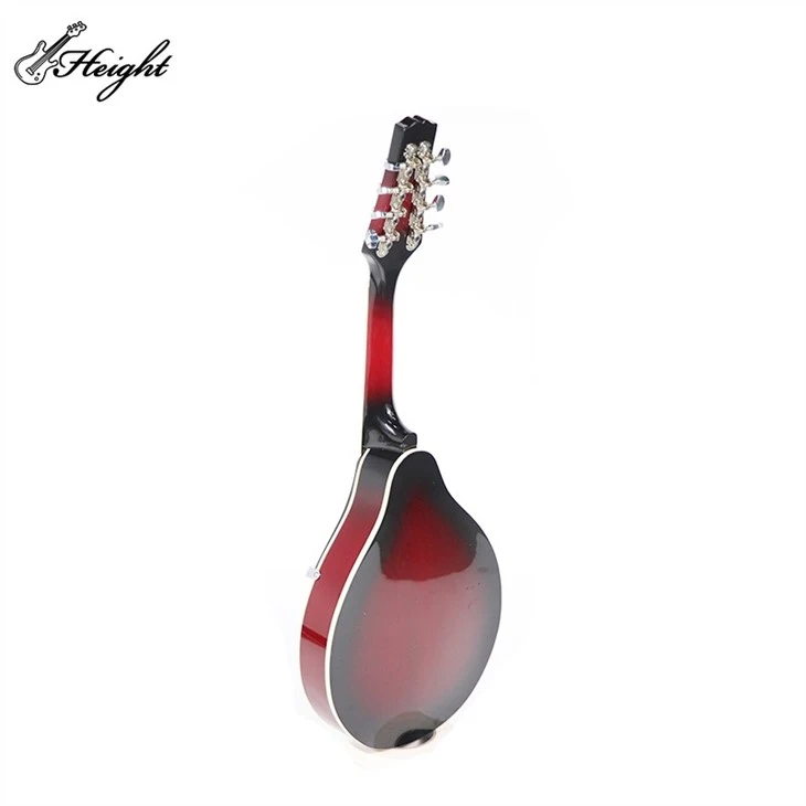 Mandolin String Instrument 6 Sting Chords