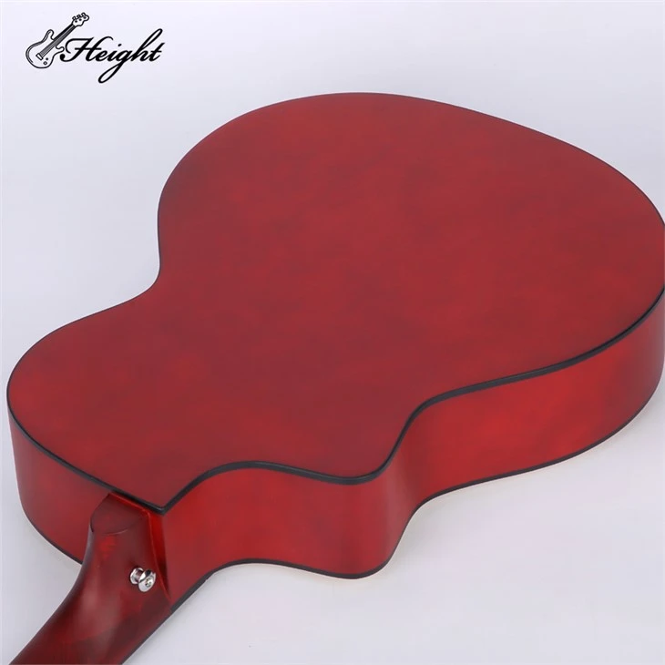 Burswood Acoustic Guitar For Dummies