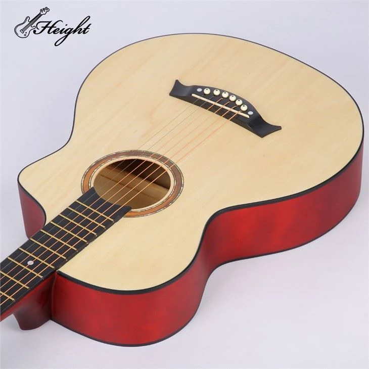 Burswood Acoustic Guitar For Dummies