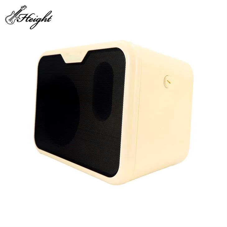 Electric Bass Special Amp